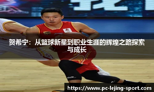 贺希宁：从篮球新星到职业生涯的辉煌之路探索与成长