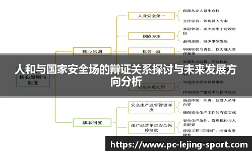人和与国家安全场的辩证关系探讨与未来发展方向分析